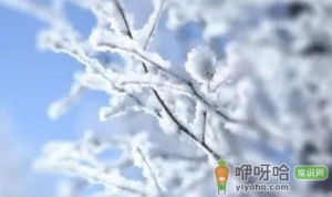 2022小雪节气过后天气是越来越冷吗