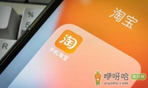 2022淘宝双十二下单后可以改地址吗