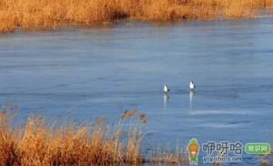 冬至下雨会连着下吗