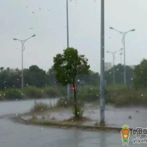 深圳12月会下雨吗