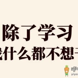 省考会延期吗