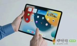 苹果为什么考虑在印度生产部分iPad