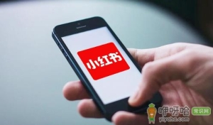 小红书加了一个代购可靠吗