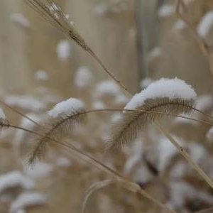 2023年小雪节气一般什么温度