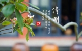 2024年清明节是4月4日还是4月5日